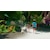 SHINSEGAE I��C�b�ySwitch�zMy Little Puppy�i�}�C���g���p�s�[�j�@�ʏ�ŁbHAC-P-BTY5A NSW ϲ ��� ����- ³�ޮ�