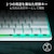 Razer�b���C�U�[�b�y�������K�i�z�Q�[�~���O�L�[�{�[�h Huntsman V3 Pro Mini JP (���s�b�h�g���K�[�Ή� �L�� 60%�T�C�Y ���{��z�� White Edition)�bRZ03-04991900-R3J1