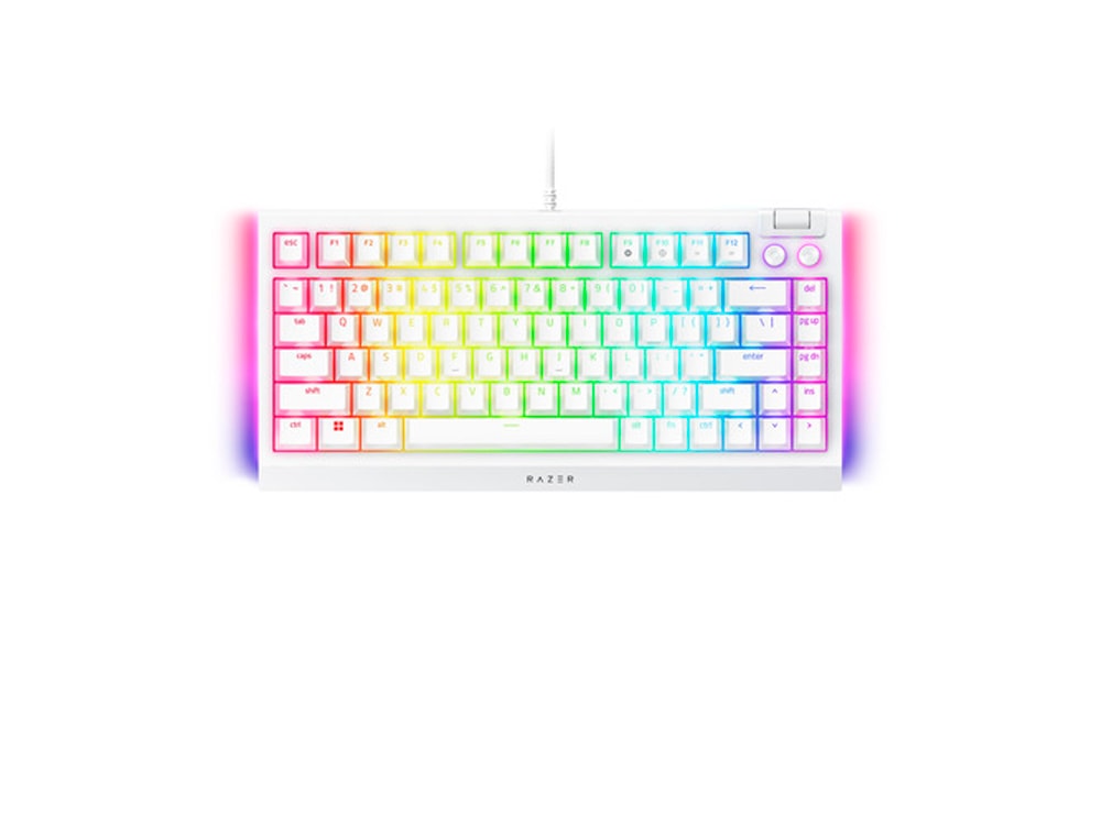 国内正規品】ゲーミングキーボード BlackWidow V4 75% （メカニカル