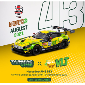 1/43 Mercedes-AMG GT3 GT World Challenge Asia ESPORTS Championship 2020【T43-015-VLT】【在庫処分】