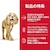 ���{�q���Y�b�T�C�G���X�_�C�G�b�g �V�j�A�A�h�o���X�h ���� ����p 3.3kg�bSD�ǼƱAD����3.3KG