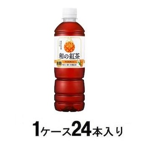 �A�T�q�����b�a�̍g�� �����A�C�X�e�B�[�@500����(1�P�[�X24�{��)�bA�ɺ����ĳ500ML*24