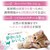 �y�b�g�v���bCherie �܂��냀�[�X �q�L�p 80g�b���-ϸ���-��Ⱥֳ80G