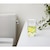 �G�X�e�[�b�g�C���̏��L�� �t���b�V���V�g���X 400ml�bĲ�ɼֳ�ճطF��׽