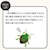 A[XbA[XK[f JV 480mlbEGѼ޷ 480ML