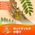�A�[�X����b�o�X���}�� �z�b�g���B�q�^�̍��� 600g�b�޽��� V�ɶ�� 600G