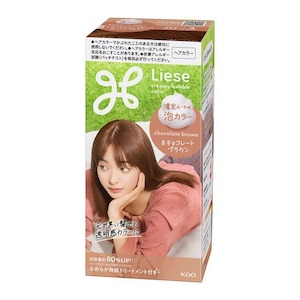 �ԉ��b���[�[ �A�J���[ �`���R���[�g�u���E�� (1��)�b�-�ޱ��ֺ��׳�