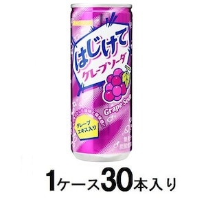 �T���K���A�b�͂����ăO���[�v�\�[�_ 250g�� �i1�P�[�X30�{���j�bʼ޹ø��-�߿-��X30