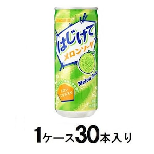 �T���K���A�b�͂����ă������\�[�_ 250g�ʁ@�i1�P�[�X30�{���j�bʼ޹���ݿ-��250GX30