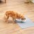 ペティオ｜アドメイト 犬用食器 フードが食べやすい脚付き陶器食器 Sサイズ｜ｲﾇﾖｳﾄｳｷｼﾖﾂｷS