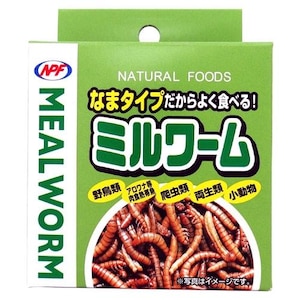 �i�`�������y�b�g�t�[�Y�b�~�����[�� 35g�b���-�35G