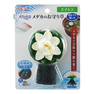 �W�F�b�N�X�bGEX ���_�J���i ���_�J�̂���葐 �X�C�����b��޶ɵ��ؿ�����