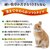 �W�F�b�N�X�b���������`���V�[�\�t�g 2kg�b�����Ӽ-���2KG