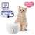 �W�F�b�N�X�b�s���A�N���X�^�� �E�F�� 1.5L �L�p �z���C�g�b��ձ�ؽ�ٳ��1.5LȺWH