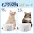 �W�F�b�N�X�b�s���A�N���X�^�� �E�F�� 1.5L �L�p �z���C�g�b��ձ�ؽ�ٳ��1.5LȺWH