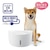 ジェックス｜ピュアクリスタル ウェル 2.5L 犬用 ホワイト｜ﾋﾟﾕｱｸﾘｽﾀﾙｳｴﾙ2.5LｲﾇWH