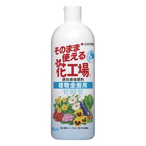 KINCHO���|�b���̂܂܎g����ԍH��@�A���S�ʗp�@700ml�b�ź���ֳ�ָ��¾��L