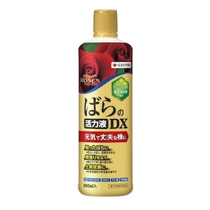 KINCHO���|�b�}�C���[�Y�@�΂�̊��͉t�c�w�@�W�O�O�����bϲ�-�� ���ɶ��ָ��DX
