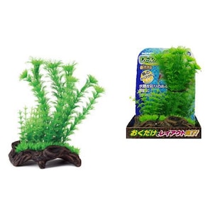 �j�b�\�[�b���g���K�[�f�� ����2�b��ٶ�-��� �ճ�޸2