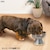 ドギーマンハヤシ｜ステンレスのテーブル食器 犬用 M｜ｽﾃﾝﾚｽﾉﾃ-ﾌﾞﾙｼﾖﾂｷｲﾇﾖｳM