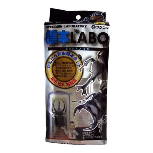 昆虫　標本　セット フジコン＞標本LABO