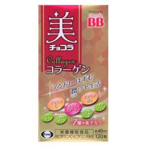 �G�[�U�C�b�� �`���R�� �R���[�Q�� 120���b���ֺ׺�-���120T