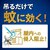 �����b�y���ʌ���z��Ɍ��� ���R�i�[�Y�v���~�A�� 250�� �v���[�g�E���� ���L�y�A�p�b�N�bѼ��P250�� �߱��¸
