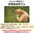 �A�[�X�E�y�b�g�b�y�b�g�p�A�[�X�Q��AC 48�����b����ֳ�-����ϷAC48ʺ